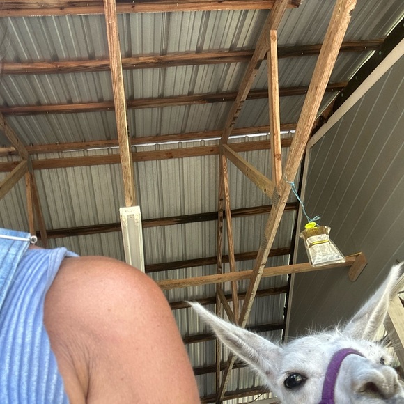 Meet your Posher, Linda - Picture 13 of 16